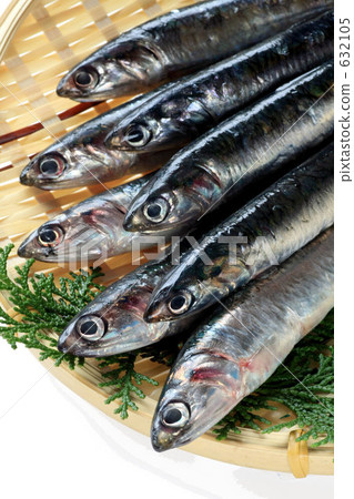 沙丁魚 沙丁魚 632105