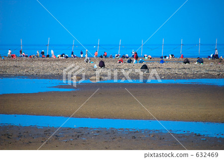 Seashell I Ⅰ Seashell I Ⅰ 632469