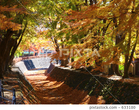 楓葉走廊 楓葉走廊 633180