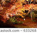 Night view of yen visit 633268