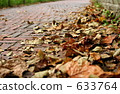 路邊的落葉 633764