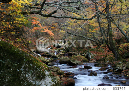 秋天的小溪 633765
