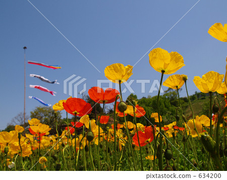 Wind of May and blue sky 1 Wind of May and blue sky 1 634200