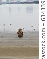 sandy beach, blue water, marine 634339