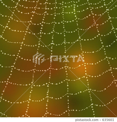 蜘蛛網 635601