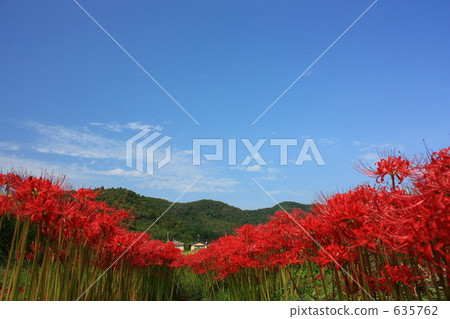 在Daikanji附近的一個平安的風景在秋天 在Daikanji附近的一個平安的風景在秋天 635762