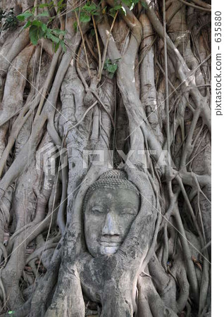 佛像埋在根裡 635880