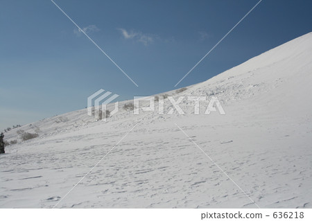 Hachimantaira 2008 Shinta-kaidake avalanches 4 days after the accident scene Hachimantaira 2008 Shinta-kaidake avalanches 4 days after the accident scene 636218