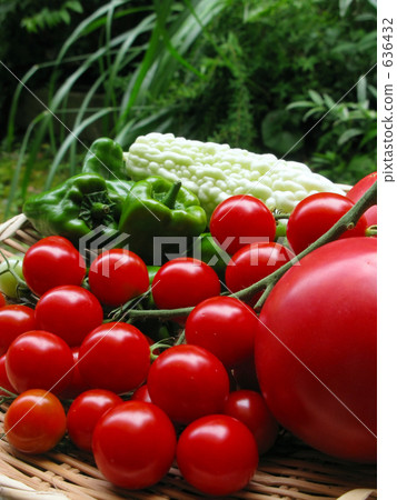 夏季蔬菜豐收 636432