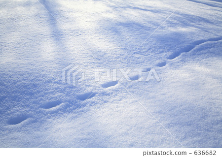 雪原的腳印 636682