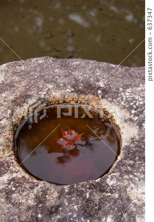 Shisen-do秋葉 637347