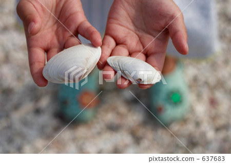 Seashells in hand Seashells in hand 637683