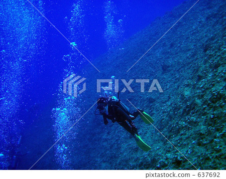 scuba diving, scuba dive, diver 637692