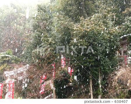 Torii and snow 638407