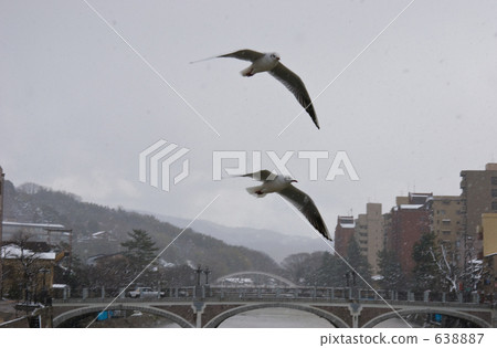 走在金澤·Umineko和淺野河大橋 638887