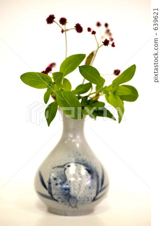 botanic, botanical, plant 639621
