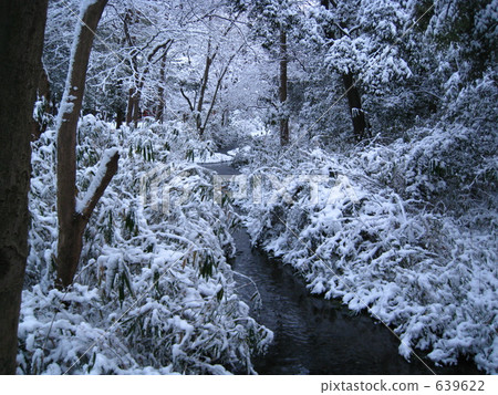 在冬天Konomiya寺廟雪場面的京都Shimogamo寺廟 在冬天Konomiya寺廟雪場面的京都Shimogamo寺廟 639622