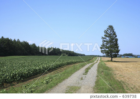 one road one road 639738