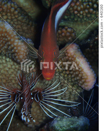 眼鏡和烏鴉 640160