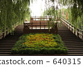 A stairway going through the green 640315