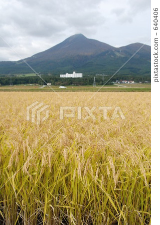 萬代和早期的日子 640406