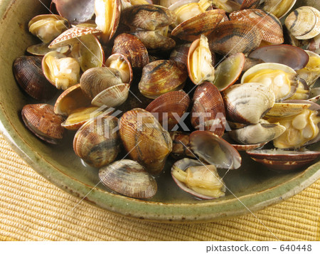 Sake Steamed Clam Sake Steamed Clam 640448