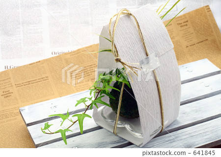 Natural Present Green Presents Natural Present Green Presents 641845