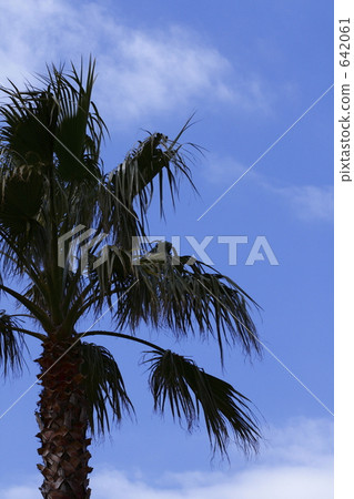 Shinouhyushi with blue sky 642061