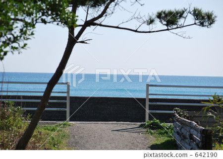 gravel road, green leaf, water surface 642190