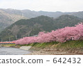 Kawazuzakura 642432