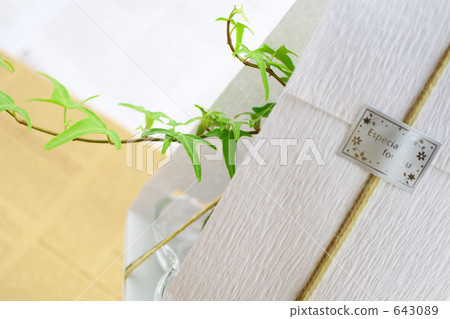 天然禮物綠色禮物 天然禮物綠色禮物 643089