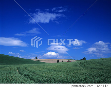 莊嚴 山丘 晴天 643112