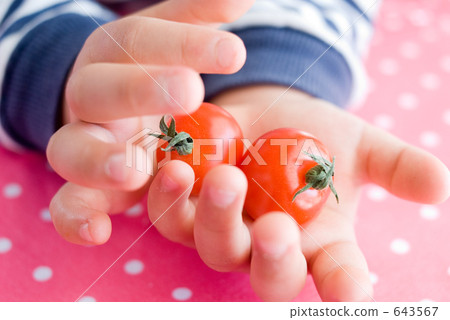 A lovely tomato A lovely tomato 643567