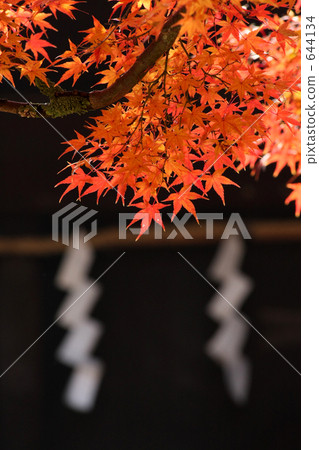 山Hachimangu寺廟秋天葉子 644134