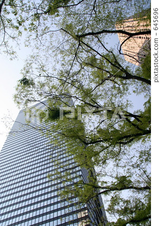 新鮮的綠色辦公區 新鮮的綠色辦公區 645696