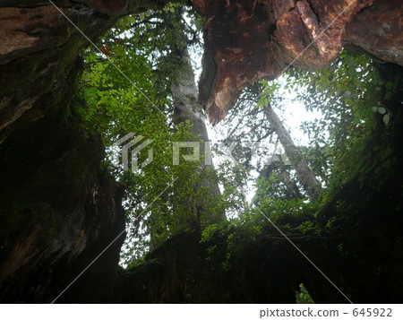 愛在大自然中 愛在大自然中 645922