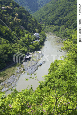 Fresh green Kyoto Arashiyama (Oyugawa area) 646002
