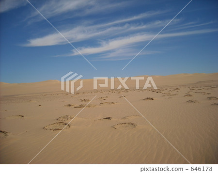 Egypt West Desert Great Sandcoa algae fossil 646178