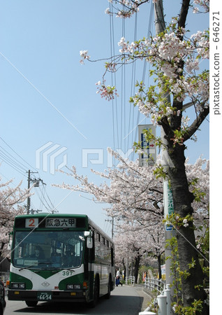 公共汽車 巴士 公車 646271