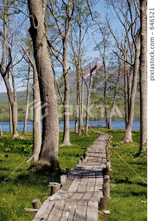 木路和Komagatake 646521