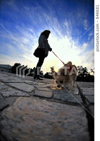 A walk A walk 646681
