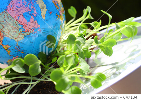Climbing the shoots and rolling over the earth and watches Western Europe Climbing the shoots and rolling over the earth and watches Western Europe 647134