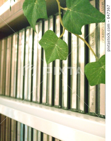 植物也喜歡音樂！ 647367