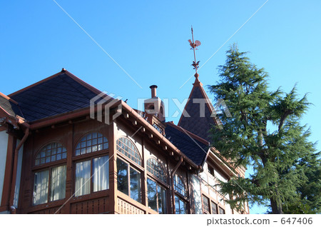 Temple of weather-knit chicken 647406