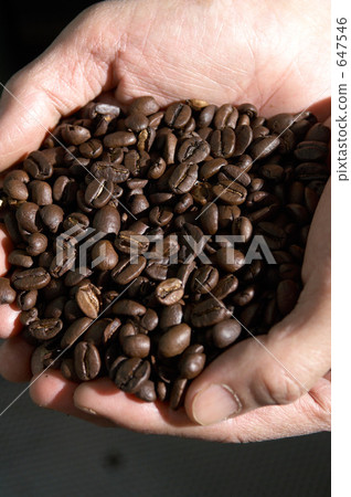 咖啡豆 647546