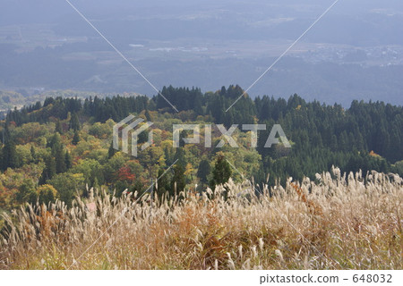 Suzuki and landscape 648032