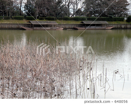 Daimaiji / Osawa pond 648056