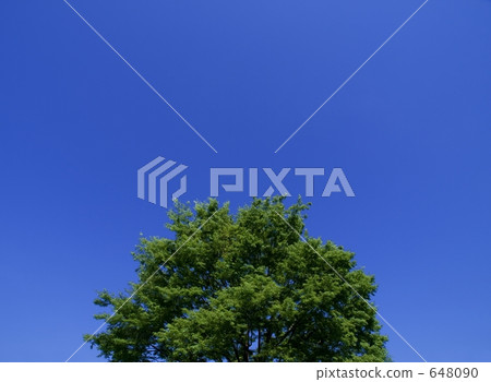 648090