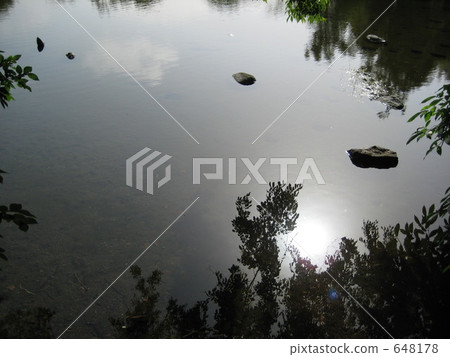 池塘 鹹水湖 水面 648178