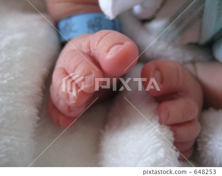 腳 英尺 爪子 648253